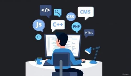 軟件開(kāi)發(fā)常見(jiàn)術(shù)語(yǔ)