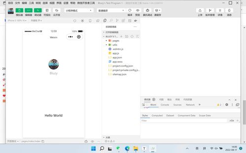移動(dòng)軟件開發(fā) 實(shí)驗(yàn)1 第一個(gè)微信小程序 實(shí)驗(yàn)報(bào)告