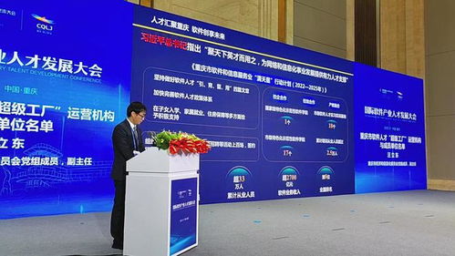 國(guó)際軟件產(chǎn)業(yè)人才發(fā)展大會(huì)在渝舉行 軟件人才的 超級(jí)工廠 來了