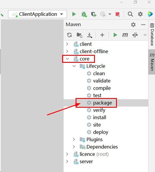 軟件產(chǎn)品許可證書 licence 全流程研發(fā) 使用非對(duì)稱加密技術(shù),既安全又簡(jiǎn)單