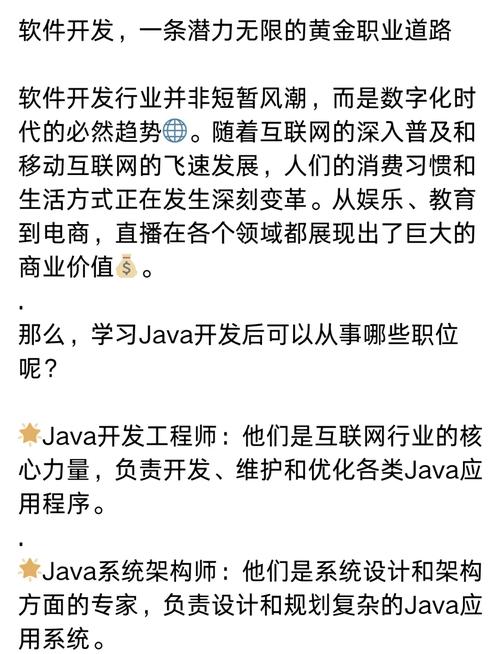 軟件開發 數字化時代的黃金職業